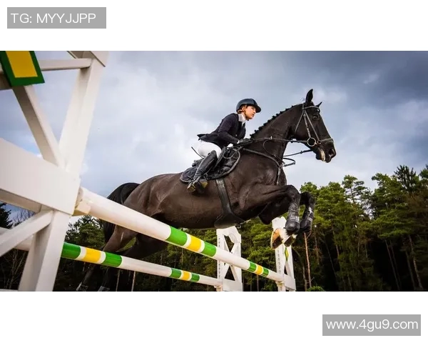 布莱克尼的魅力探索：揭示这座小镇的历史与文化之美