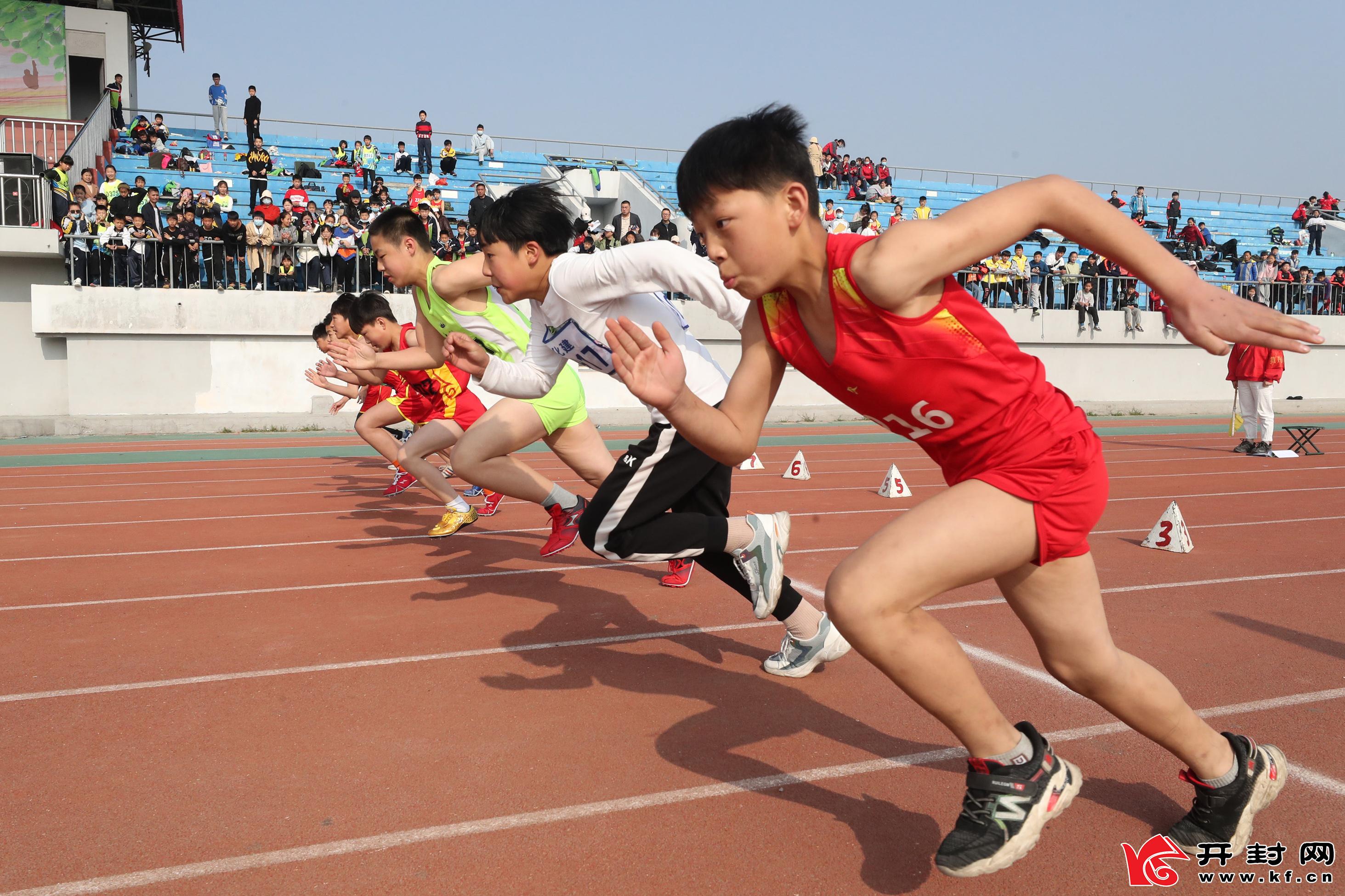 196体育下载运动汇智乐享未来——长水统战青年运动会玩出新花样